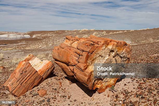 Dzienniki W Park Narodowy Petrified Forest Arizona - zdjęcia stockowe i więcej obrazów Badlands