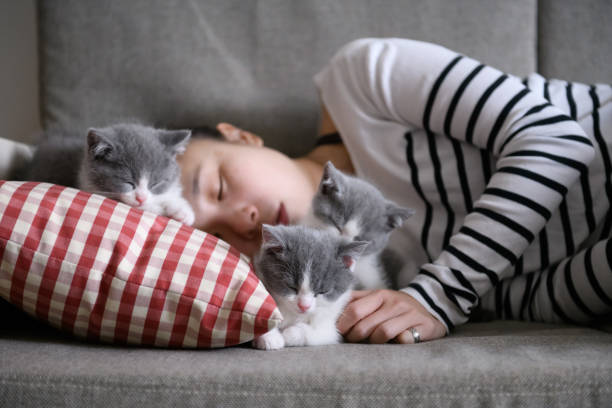 istock Women and kittens are sleeping 962788940