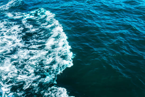 Sea, Ocean, Wave, Water, Resources
