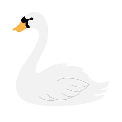 Swan bird image, icon. Vector illustration