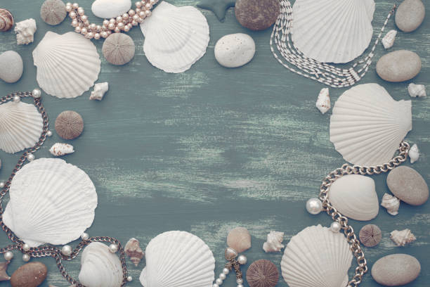 istock Natural wooden retro sea shell stone background. 962798874