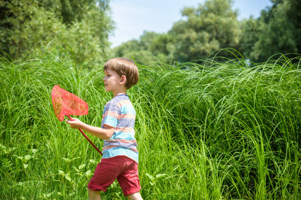 очаровательный кавказский малыш играет с совок-сеткой на лугу в теплый и солнечный летний или весенний день. - catching butterfly netting summer стоковые фото и изображения