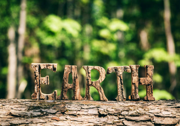 istock EARTH writing made from wooden letters in the forest 962803352