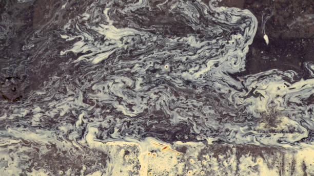 istock abstraction made by rainwater and pine pollen 962805490