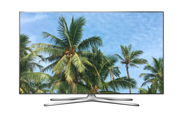 istock Smart tv with palm trees against blue sky image 962805794