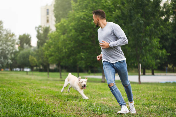 istock Dog running with his owner 962809024