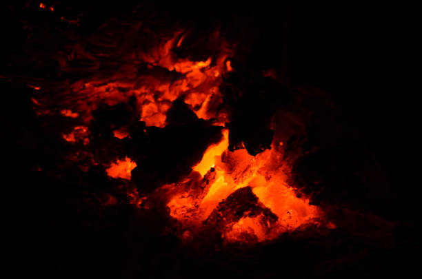 istock the bonfire is burning firewood in forest 962809254