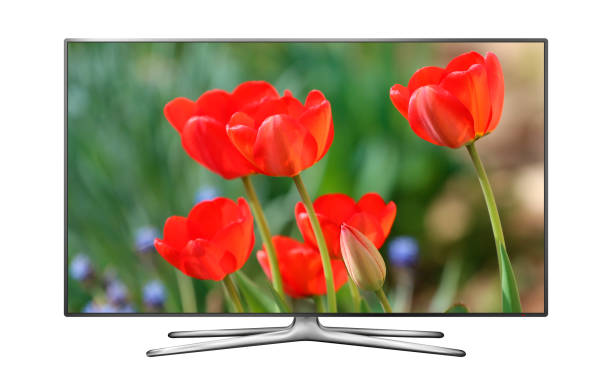 istock Smart tv with red tulips on screen 962809872