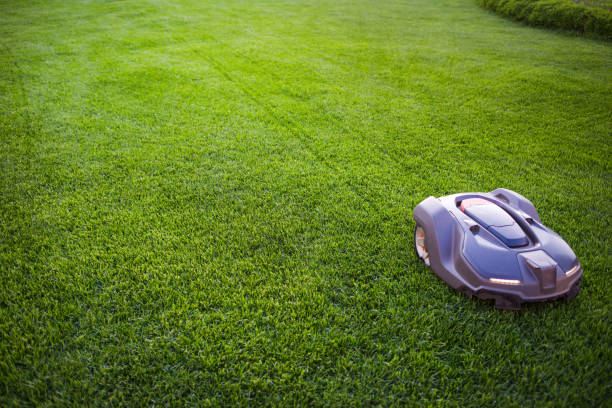 istock automatic lawn mower robot moves on the grass, lawn. side view from above, copy space 962811284
