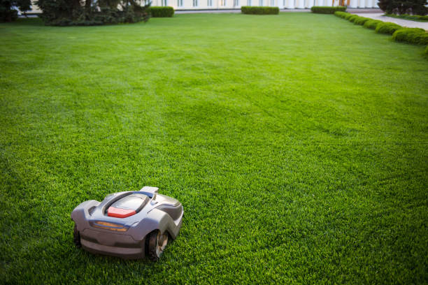 istock automatic lawnmower robot mower on grass, lawn. view of the large mowed lawn. copy space. 962811322