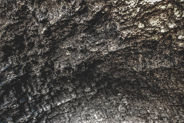 istock Patterns and textures of rocks in nature. 962811534