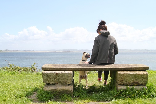 back-view of woman and  jug dog on bench at coast, overlooking the sea