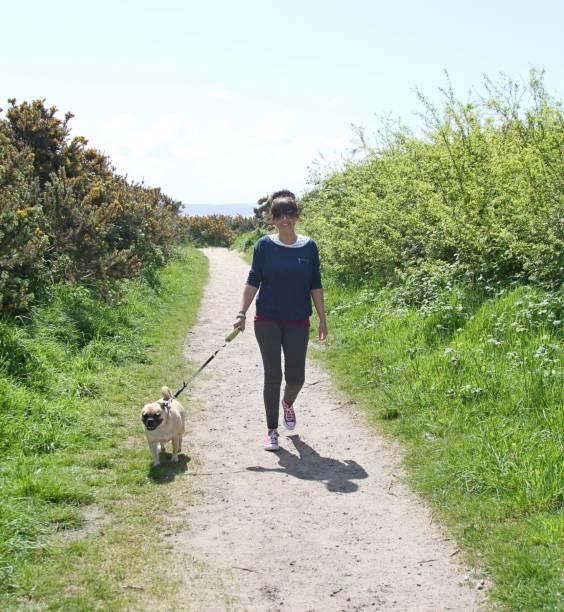istock woman walking dog on footpath 962816928