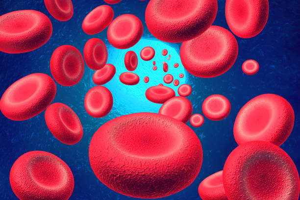 krwinek - human cardiovascular system blood human blood vessel platelet zdjęcia i obrazy z banku zdjęć