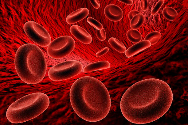 Blood cells stock photo