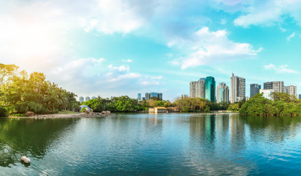 istock Shenzhen modern city skyline and lake scenery 962823870