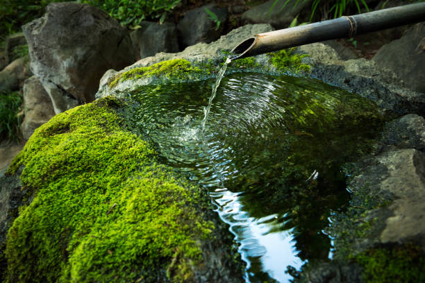 jardim japonês paisagem - tea ceremony - fotografias e filmes do acervo