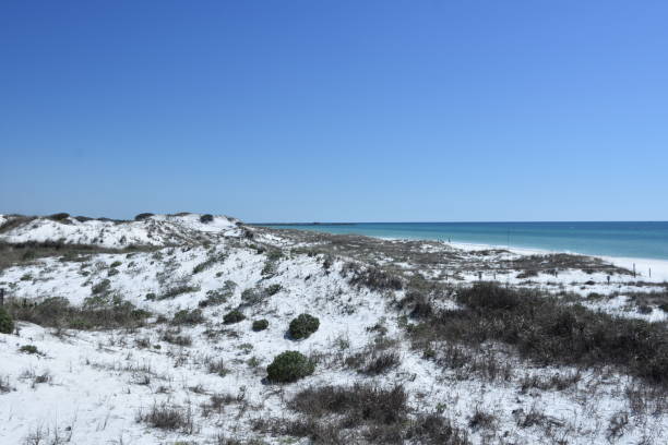 istock White-sand beach in Panama City Florida 962827864