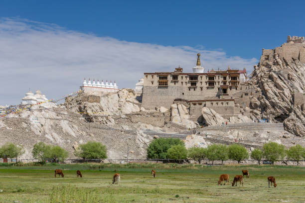 istock Shey Palace complex in Ladakh, India. 962828364