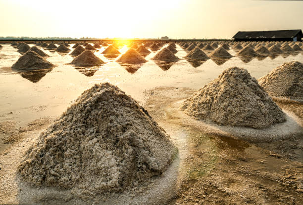 istock Piles of sea salt 962828416