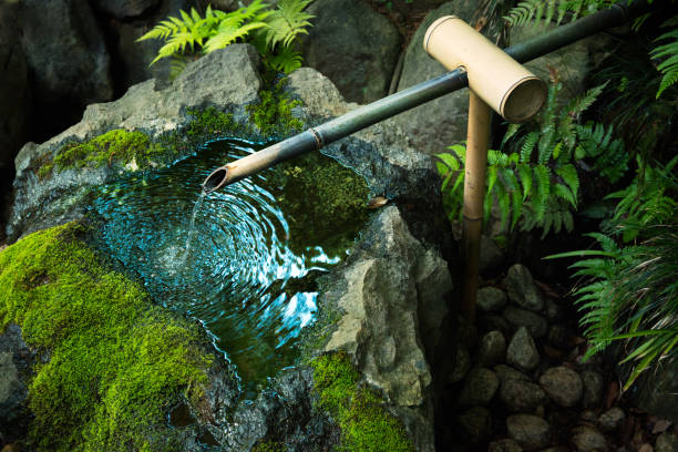 Matsue, Tokyo - August 10, 2015:  Traditional water basin in a Japanese garden. Stone water basins, (Tsukubai) were originally placed in gardens for visitors to wash their hands and mouth before the tea ceremony.