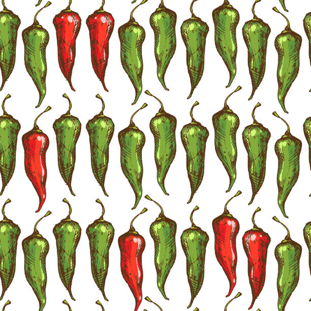 Rustic kitchen seamless pattern with spicy peppers Seamless vintage style pattern with red and green spicy and hot chili, thai, cayenne and jalapeno peppers. Kitchen wallpaper, textile fabric print with paprika. Rustic cookery background serrano chili pepper stock illustrations