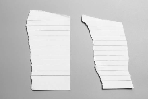 istock Blank portrait mock-up paper. brochure magazine isolated on gray, changeable background / white paper isolated on gray 962838308