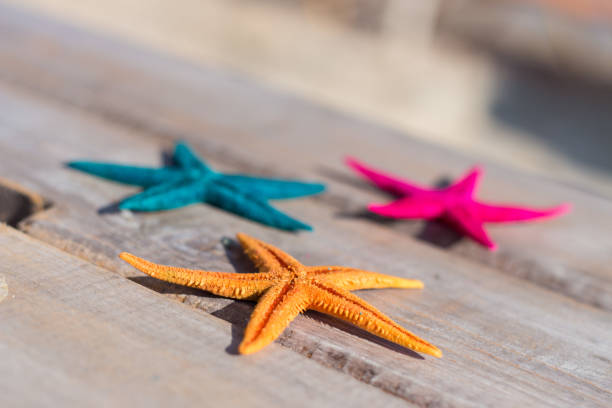 istock Colorful starfish on a wooden surface 962839778