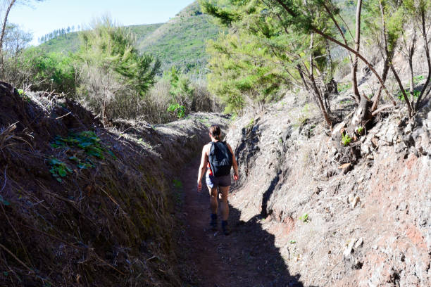 istock La Gomera: Roque de Agando, Roque de la Zarcita and Roque de Ojila 962839780