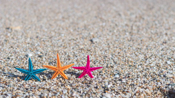 istock Colorful starfish on a sea beach sand 962842066
