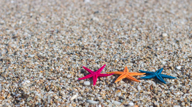 istock Colorful starfish on a sea beach sand 962842120