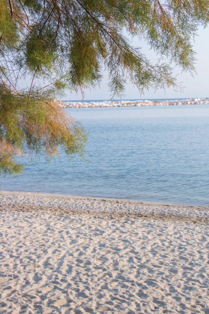 istock Seascape and sea beach 962845856