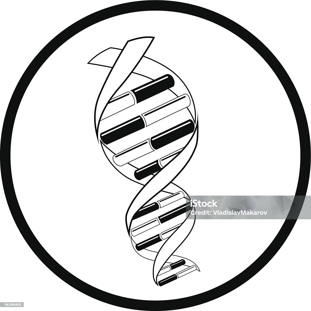 IL DNA - arte vettoriale royalty-free di Acido