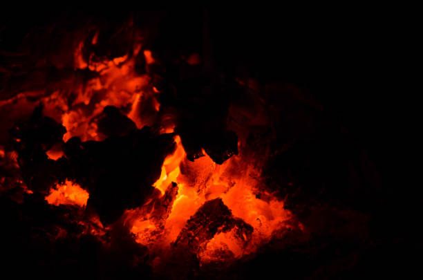 istock the bonfire is burning firewood in forest 962850408