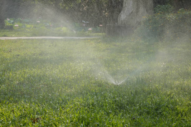 istock Garden Irrigation system spray watering lawn 962850504