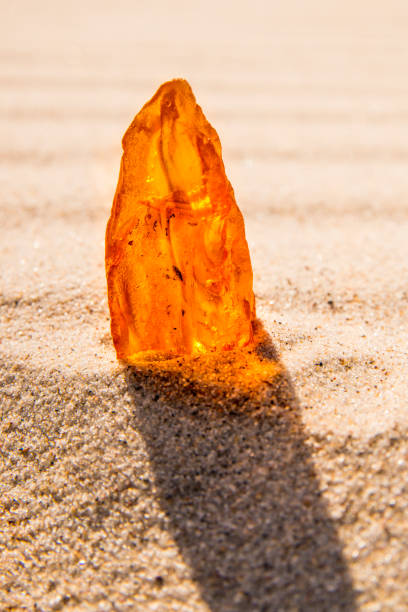 istock Amber on a beach of the Baltic Sea 962853042