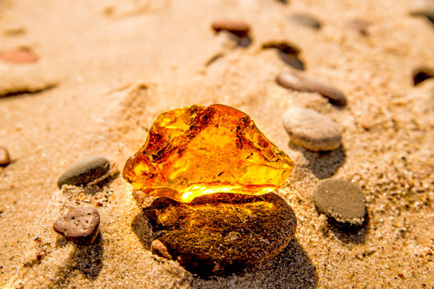istock Amber on a beach of the Baltic Sea 962853052