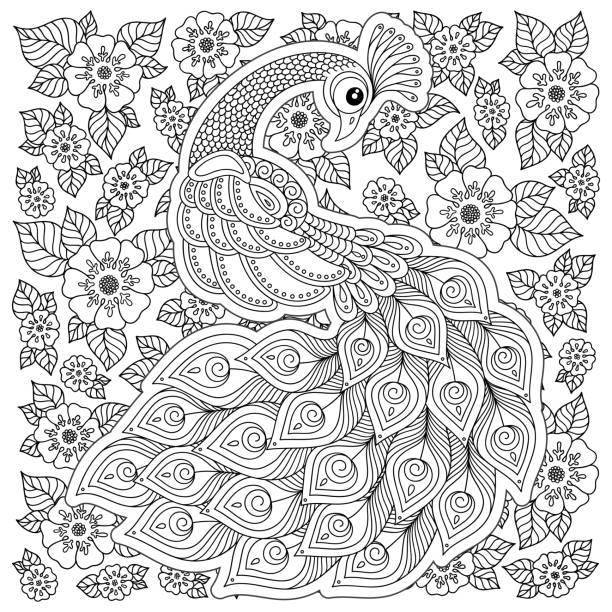 ilustraciones, imágenes clip art, dibujos animados e iconos de stock de pavo real en estilo zen. página para adultos anti-stress para colorear. - peacock feather outline black and white