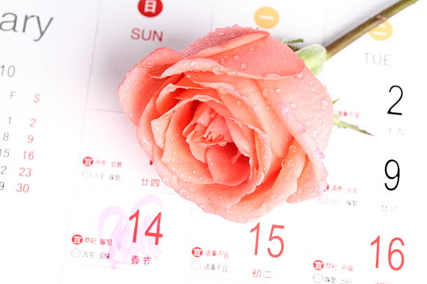 istock rose for valentine's day with calendar 96286146