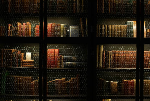 istock dark gloomy library with a collection of books 962862160