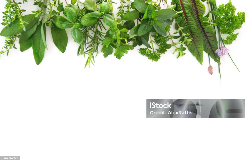 Herbes fraîches du jardin isolés sur fond blanc - Photo de Plante aromatique libre de droits