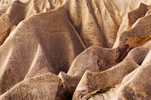 istock Rose valley near Goreme, Turkey 962865644