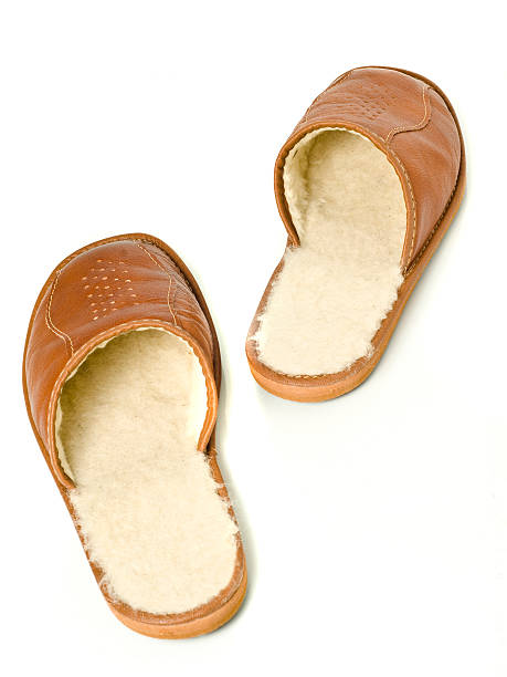 istock Pair of men's house slippers 96286655
