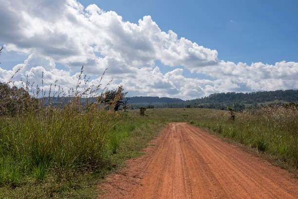 istock Dirt road in country 962871996