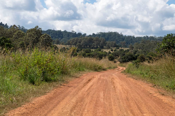 istock Dirt road in country 962872262