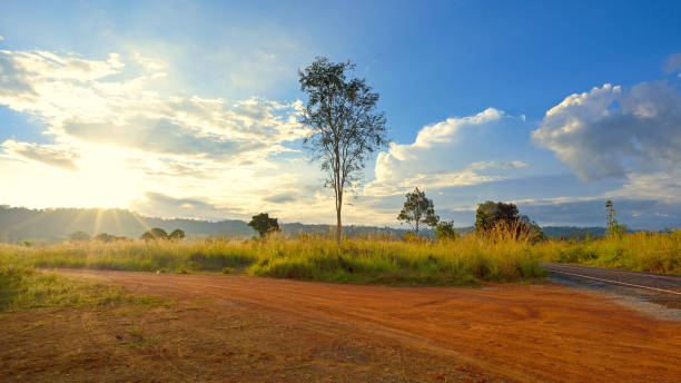 Dirt road in country Dirt road in country with tree in nautre from thailand dirt road sunset stock pictures, royalty-free photos & images