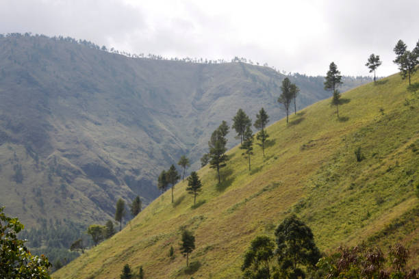 istock The toba lake and interesting 962877242
