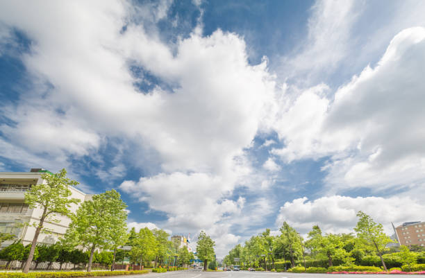 istock Tokyo's fresh green and sky 962881038