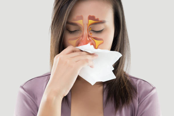 women feeling unwell and sinus on gray background - allergy sneezing cold and flu flu virus imagens e fotografias de stock