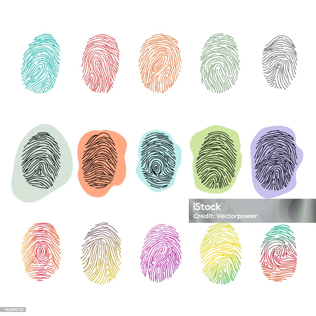 Note Finger Vector Fingerprint Vector Fingerprinting Identity With Fingertip ...